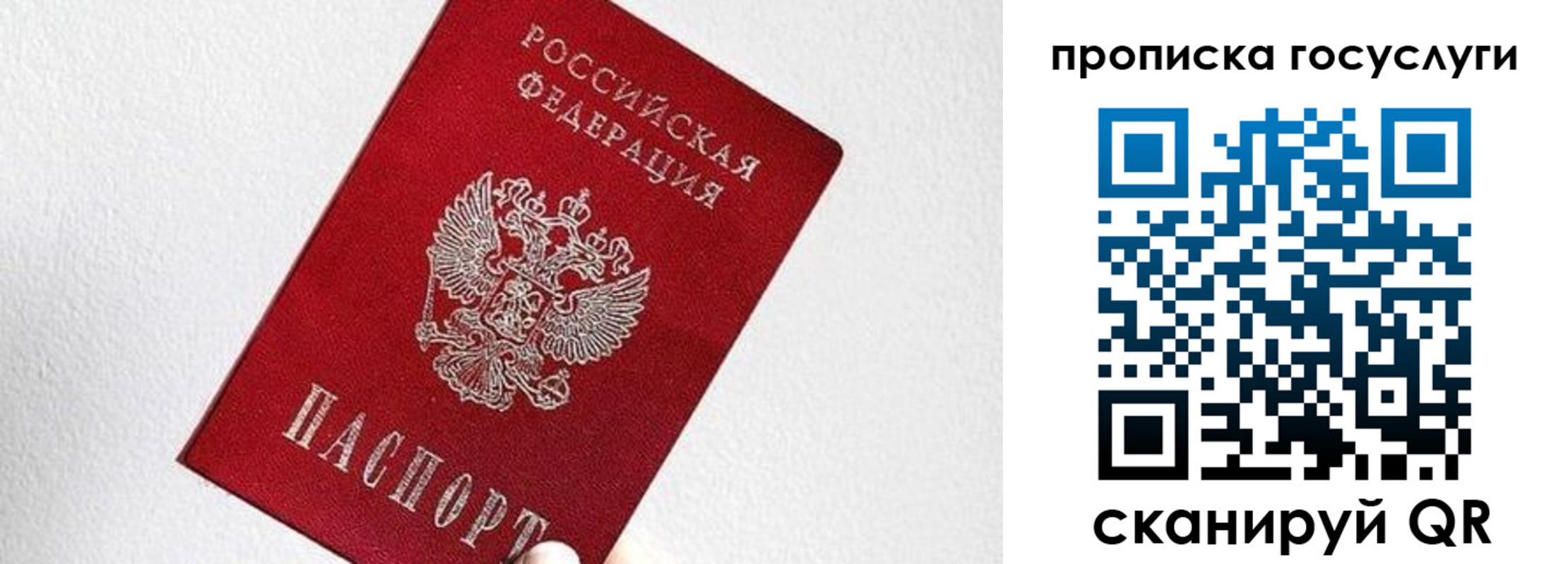 прописка законно в Тогучине